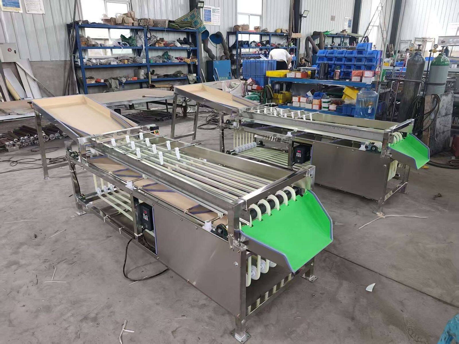 Customized belt grading machine for persimmons