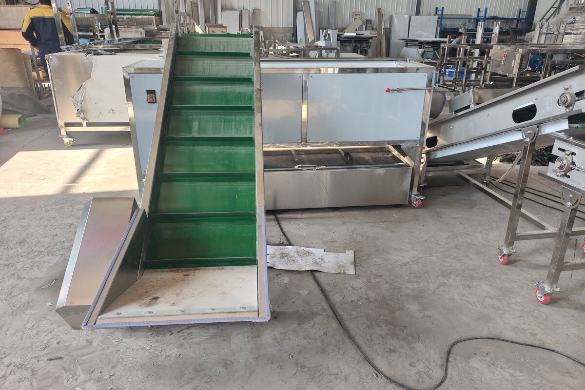 Washing and conveying section of the potato processing line