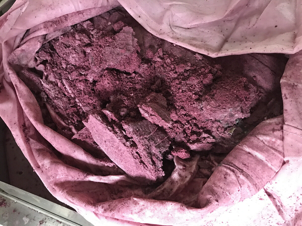 Pressed purple solids in a filter bag.