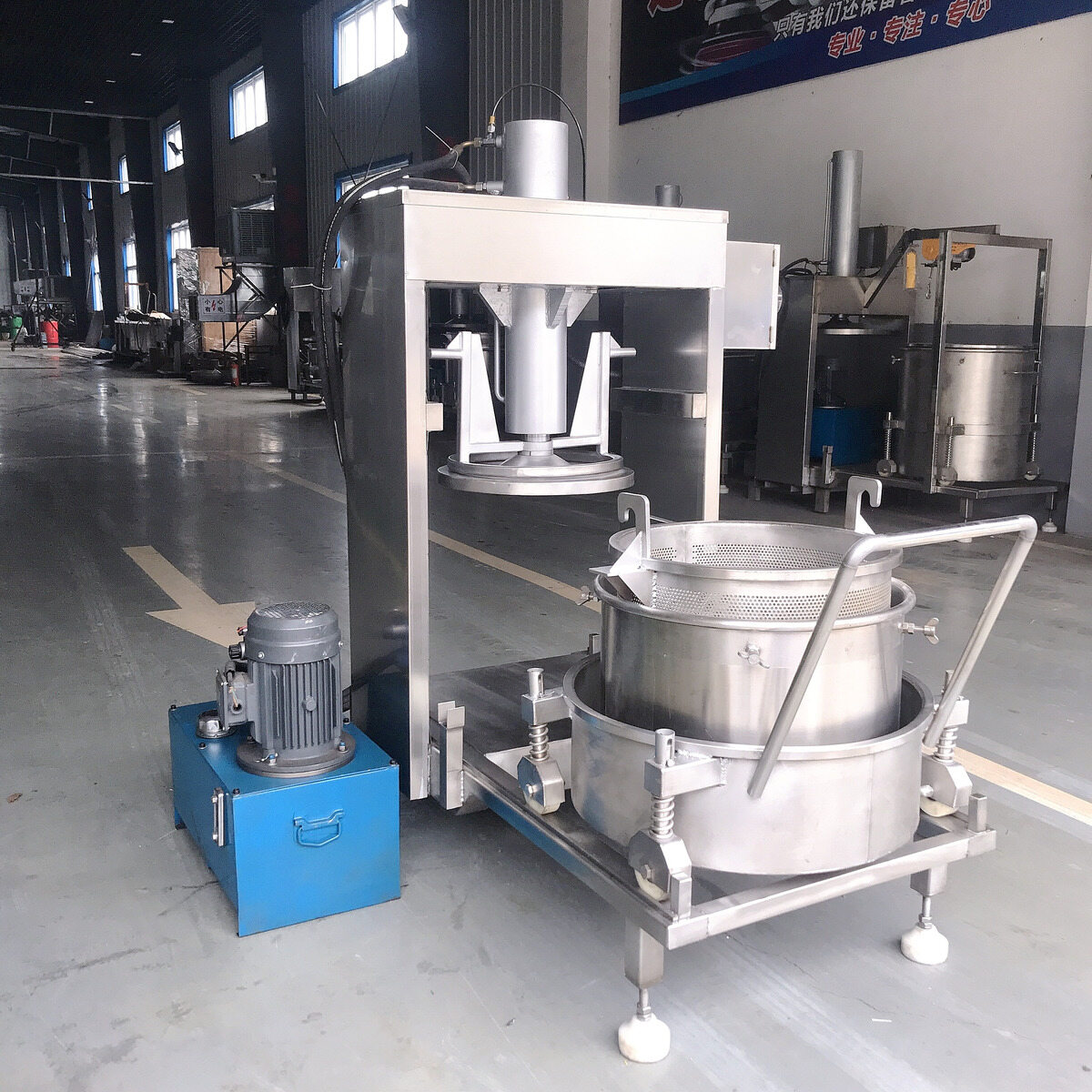 Hydraulic Fruit & Vegetable Press