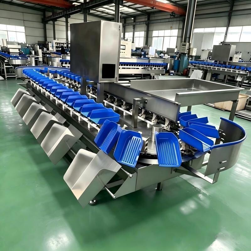 Close view of trays and sorting outlets